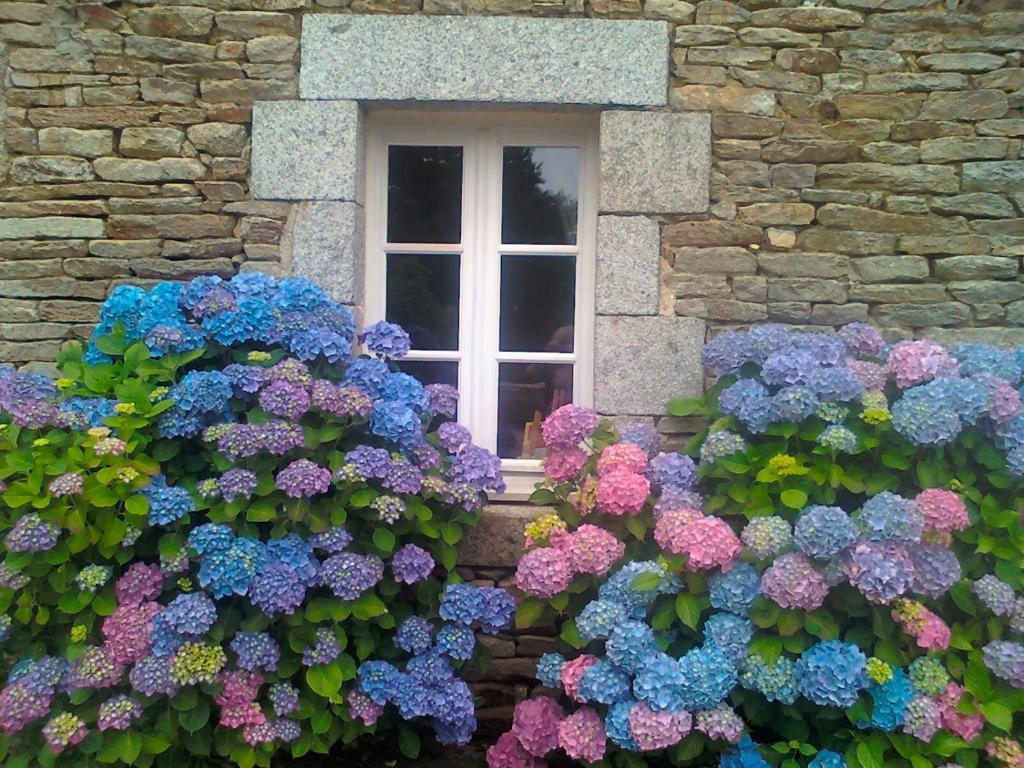 Le Petit Kerangoi Bed and Breakfast Pont-Aven Exteriör bild